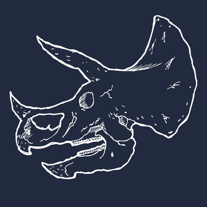 Dinosaur Skeleton - Triceratops Skull