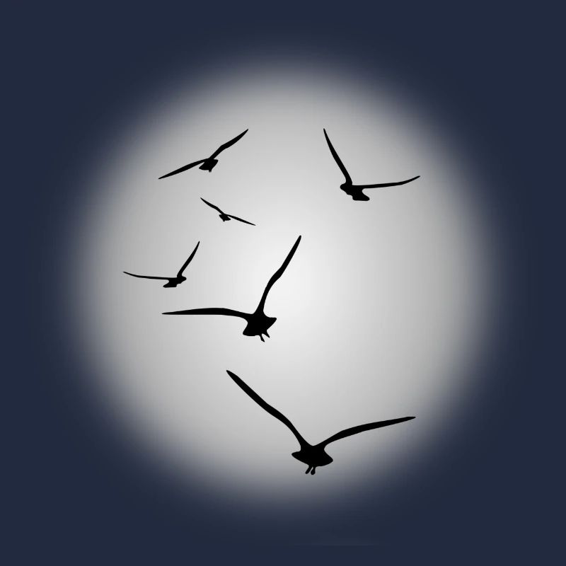 Flug der Vögel