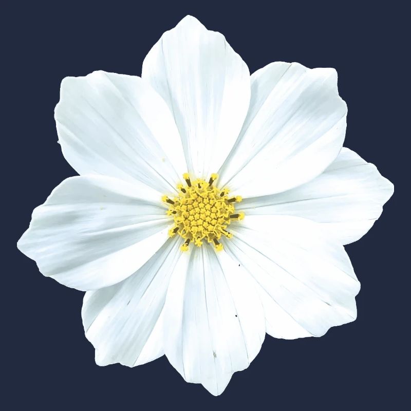 fleur