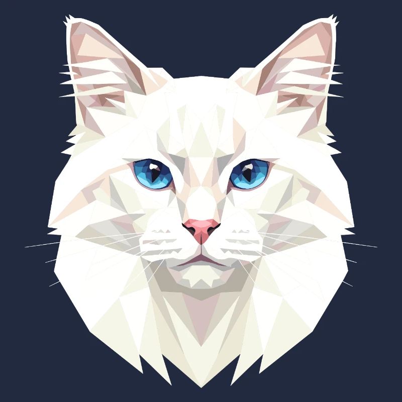 Chat Angora Chat Angora Chat Angora Mignons Chats Angora