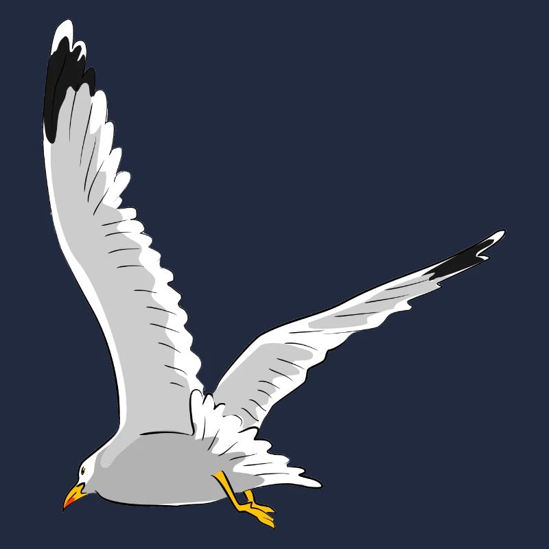 Möwe im Flug