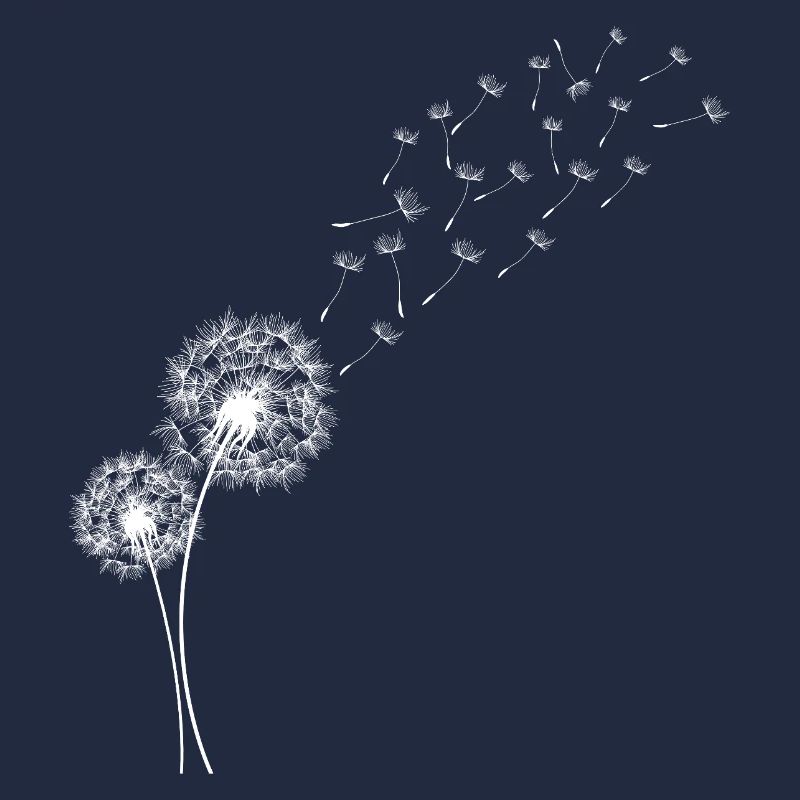 Löwenzahn Löwenzahnblüten im Flug