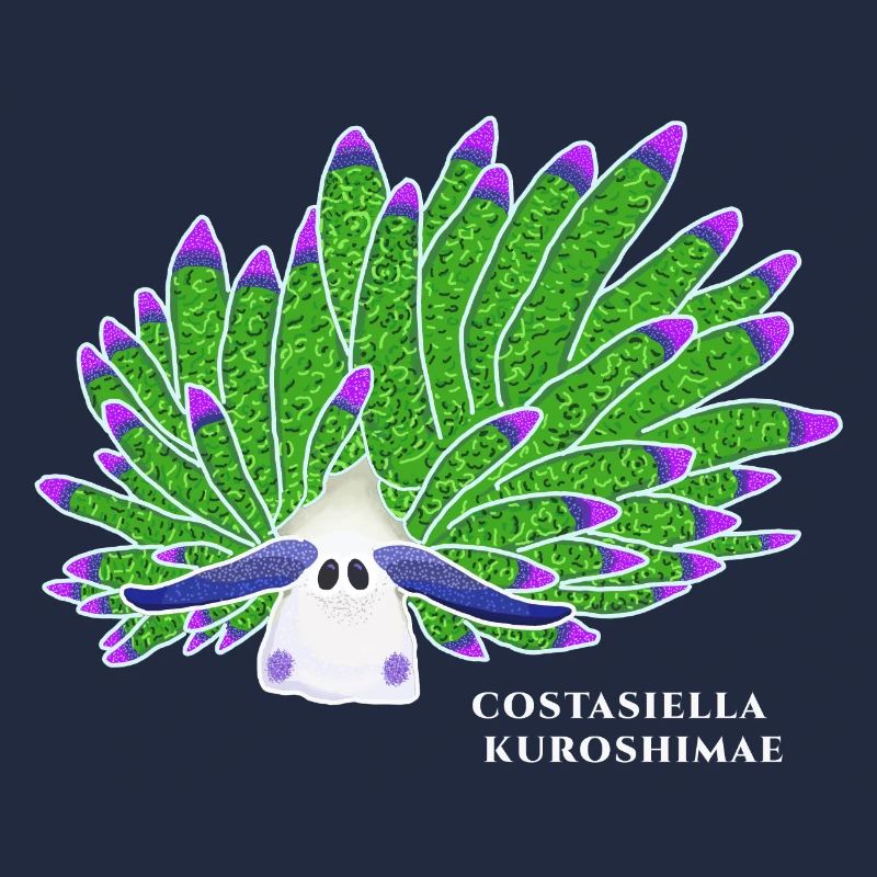 Escargot De Mouton Feuille, Dessin
