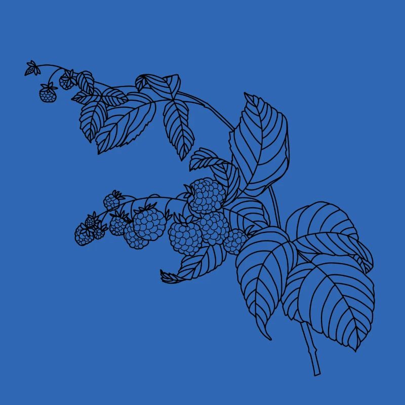 Raspberry