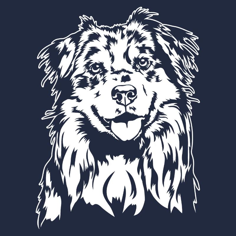 Australian Shepherd Aussie Portrait Hunde Wilsigns