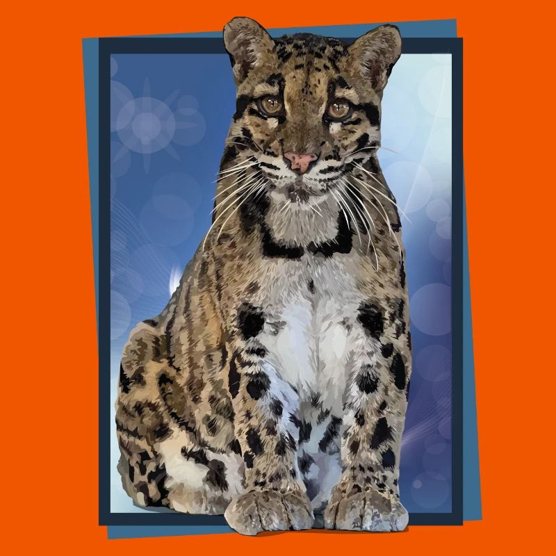 Clouded leopard