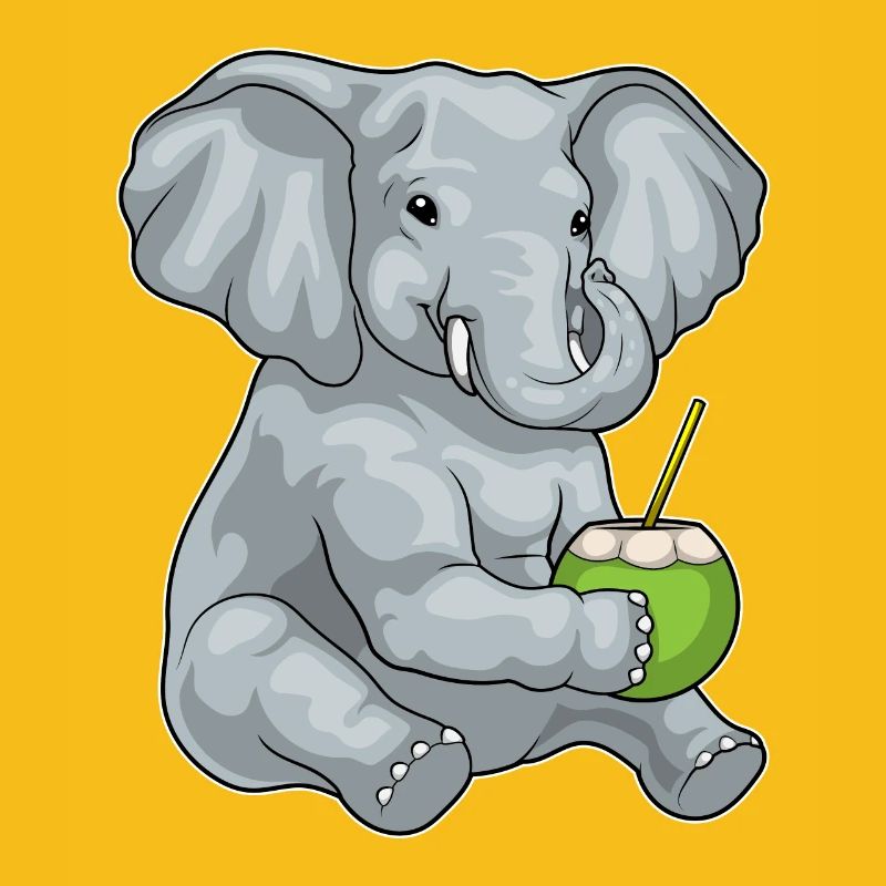 Éléphant Noix de