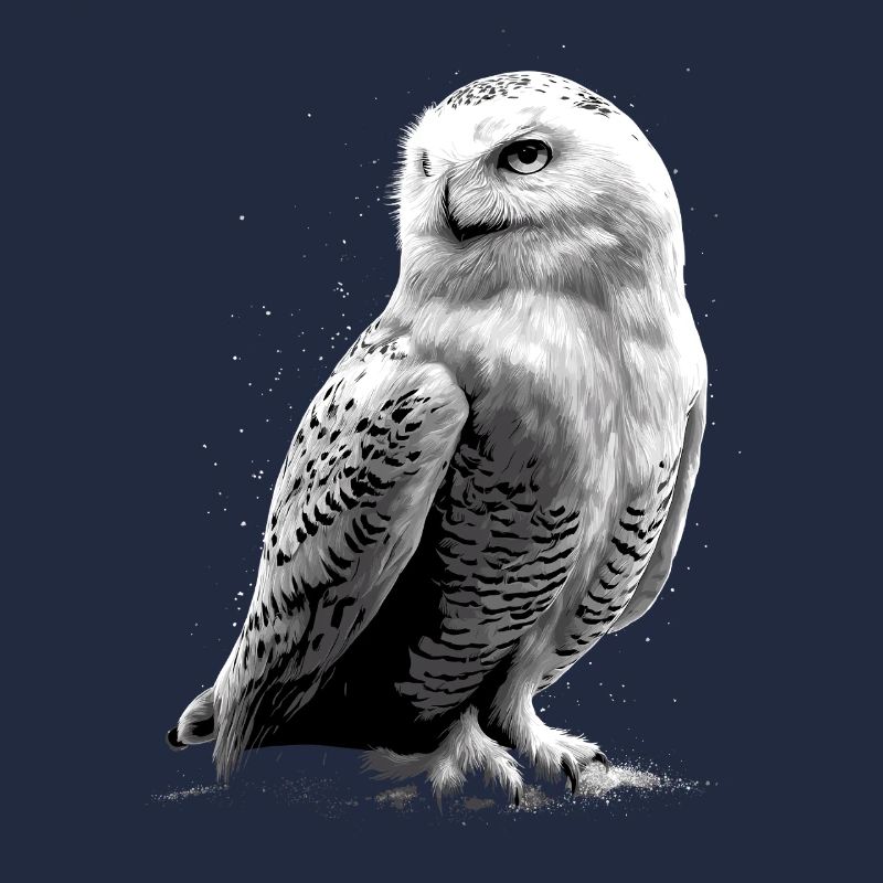 Schneeeule Weiße Eule Kauz Uhu Owl Schnee Eulen