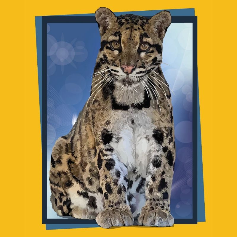 Clouded leopard