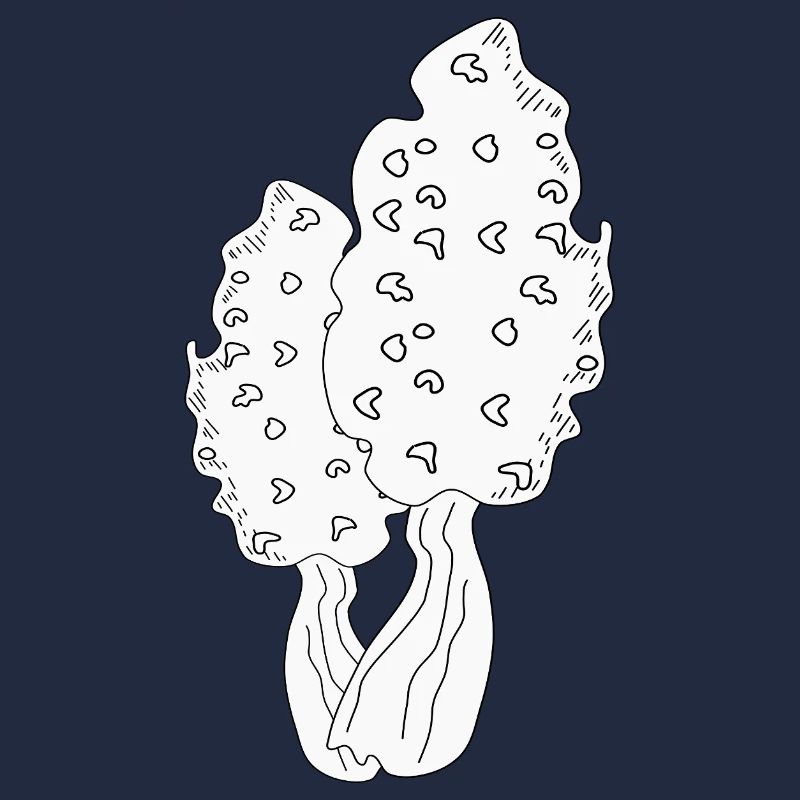 MORILLES