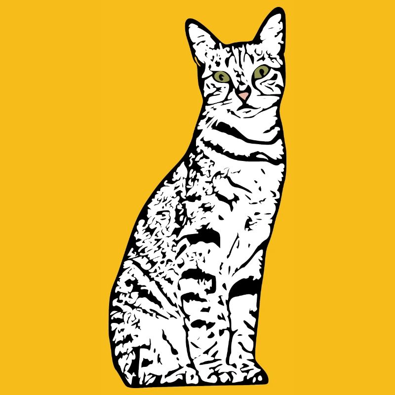 Chat blanc Chat Chat blanc Cadeau