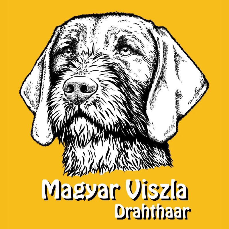 Magyar Viszla Drahthaar