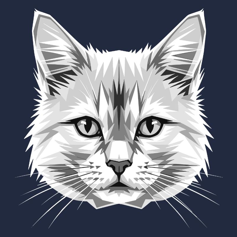 Chat Angora Chat Angora Chat Angora Mignons Chats Angora
