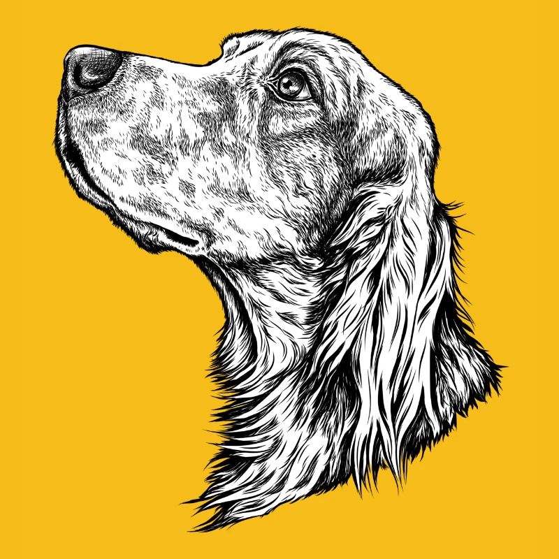 Irish Setter Portrait
