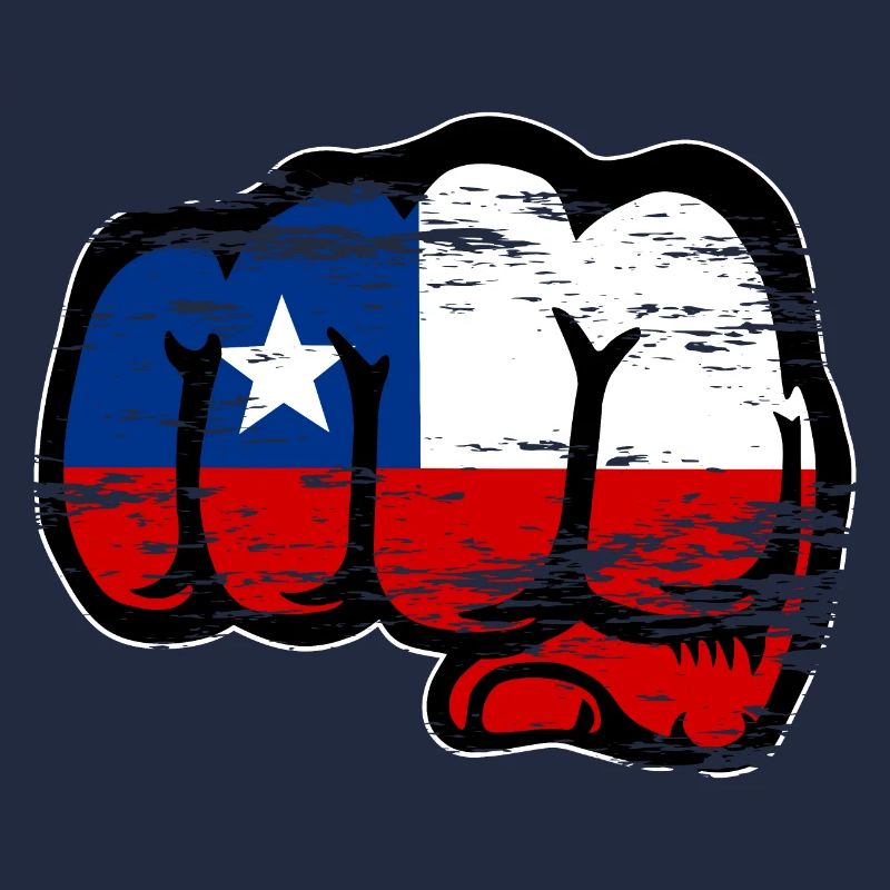 Chile Flagge Faust used