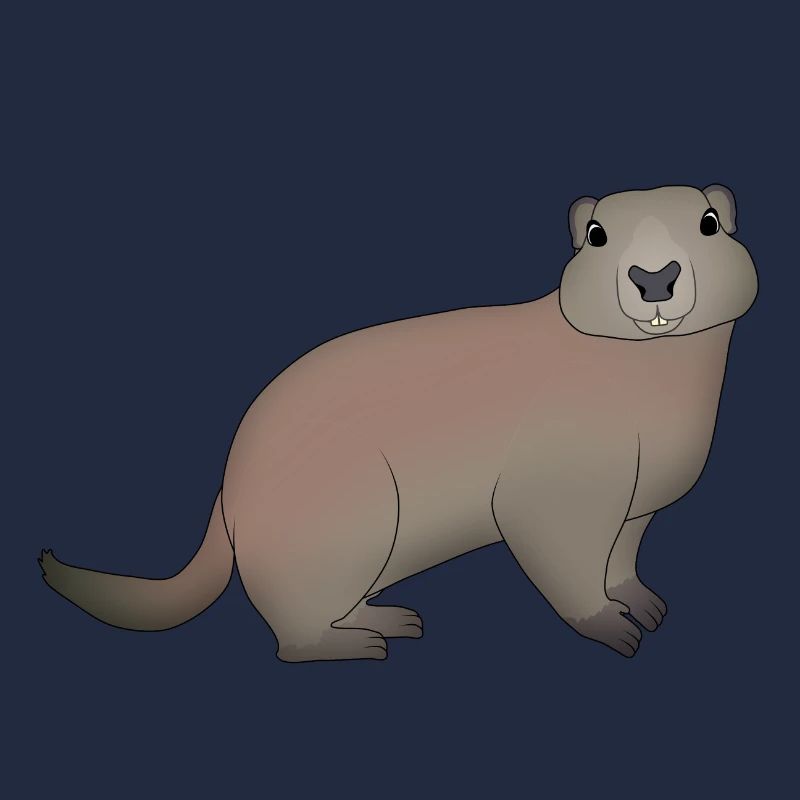 Marmotte