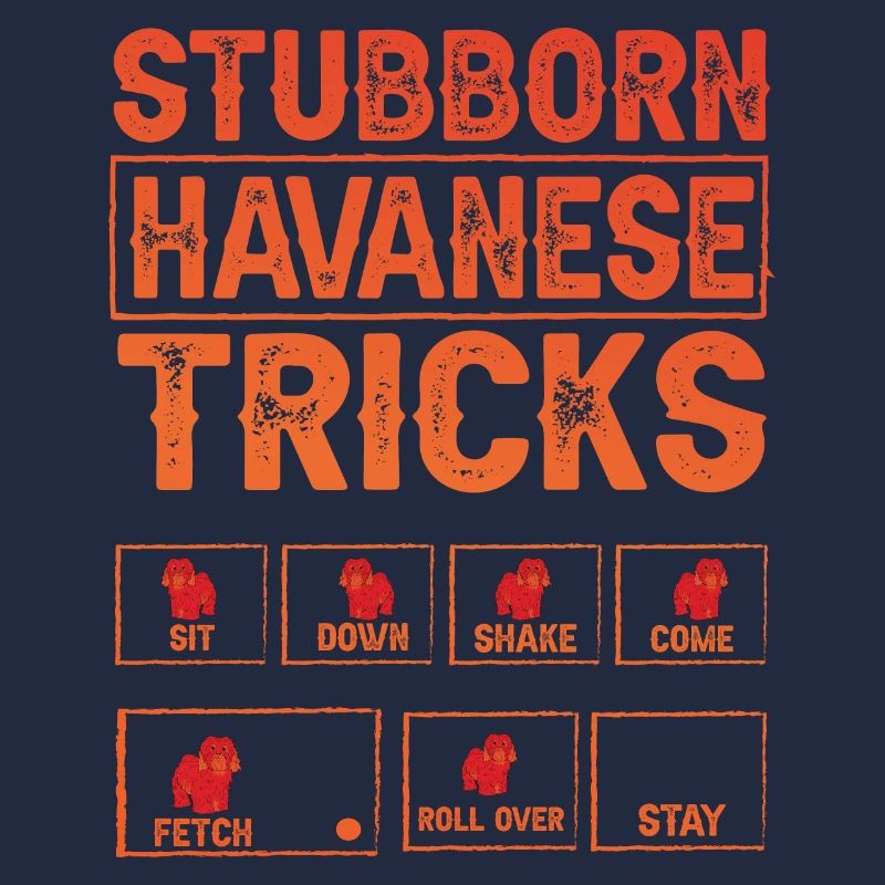 Stubborn Havanese Tricks
