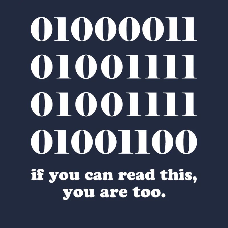 Computer binary code developers gift