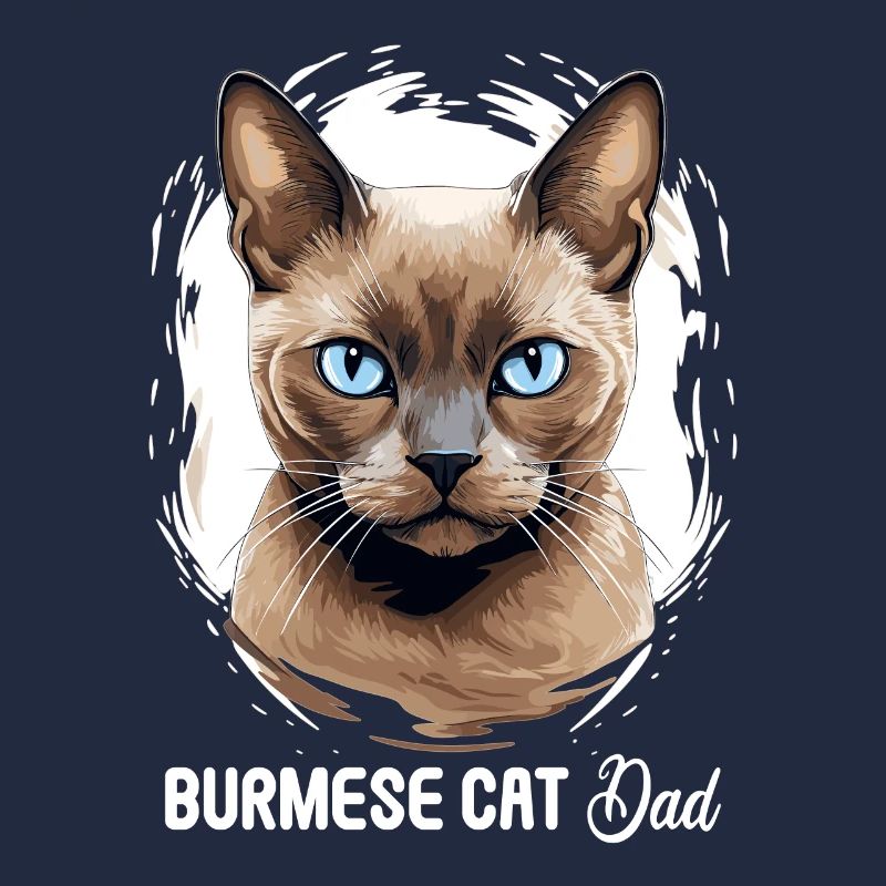 Chat birman Birmanie Katze