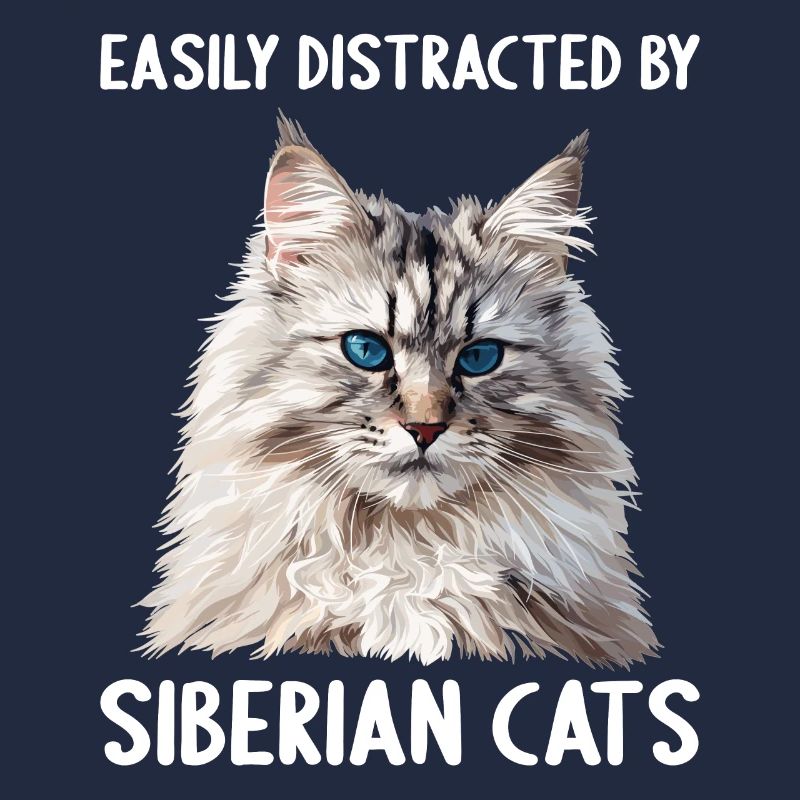 Chat Sibérien Sibirische Katze