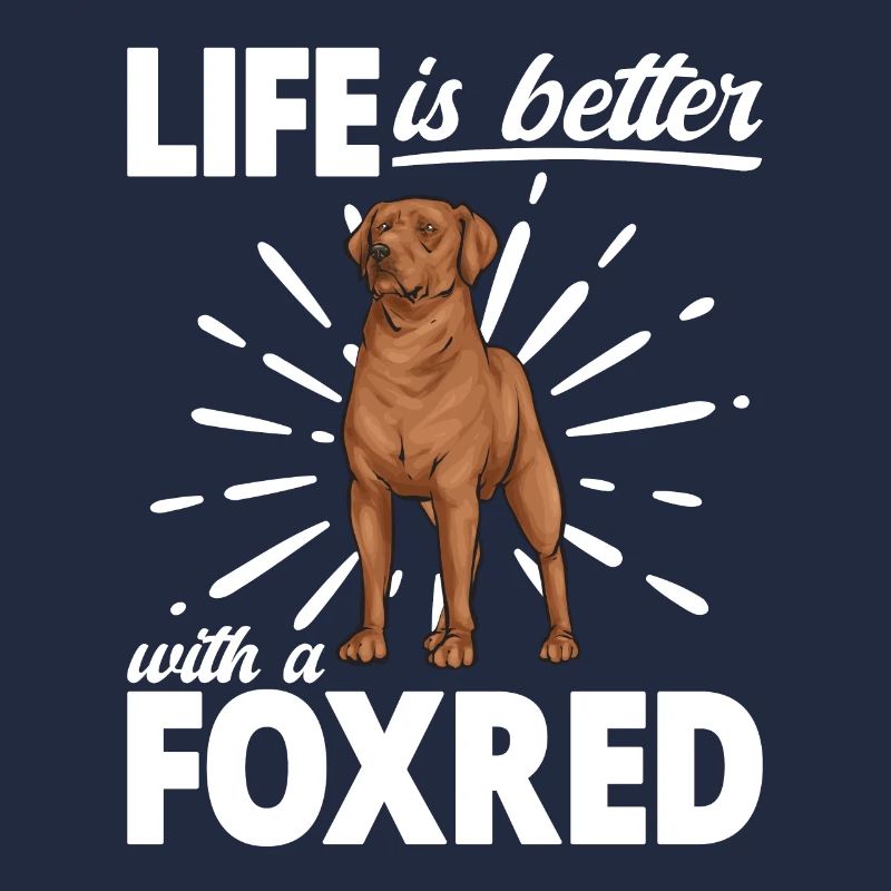 Fuchsroter Labrador Retriever Fox Labrador rouge