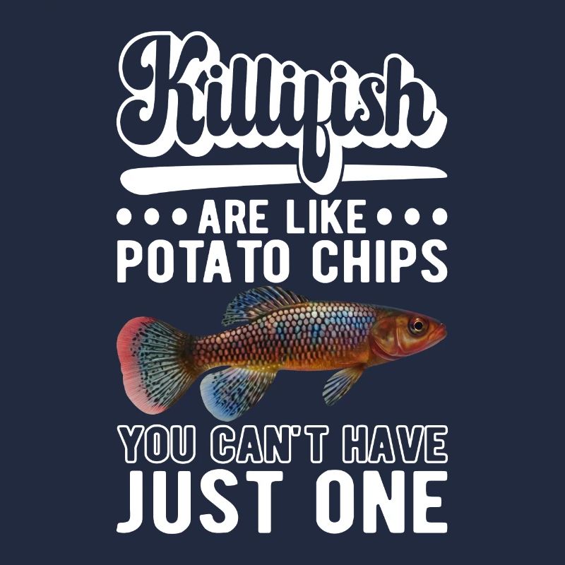 Killifish Quarium Fish