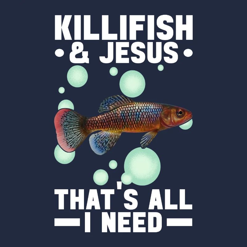 Killifish Quarium Fish