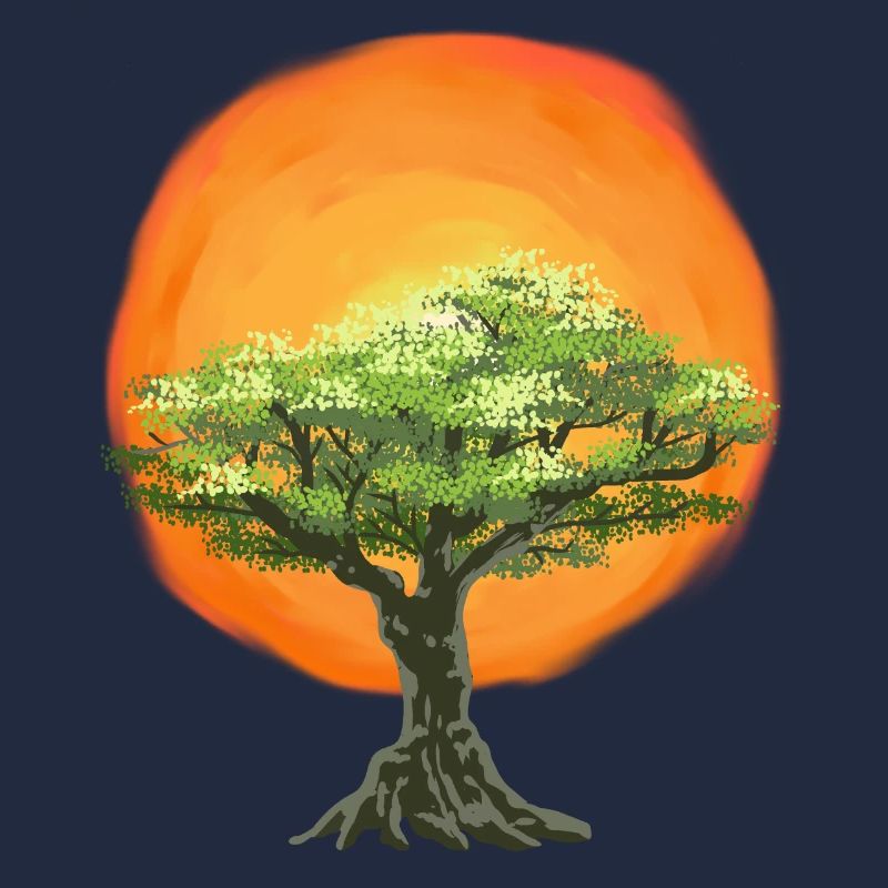Olive Tree Sunrise Sun Tree Nature