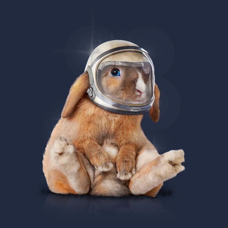 Spacerabbit