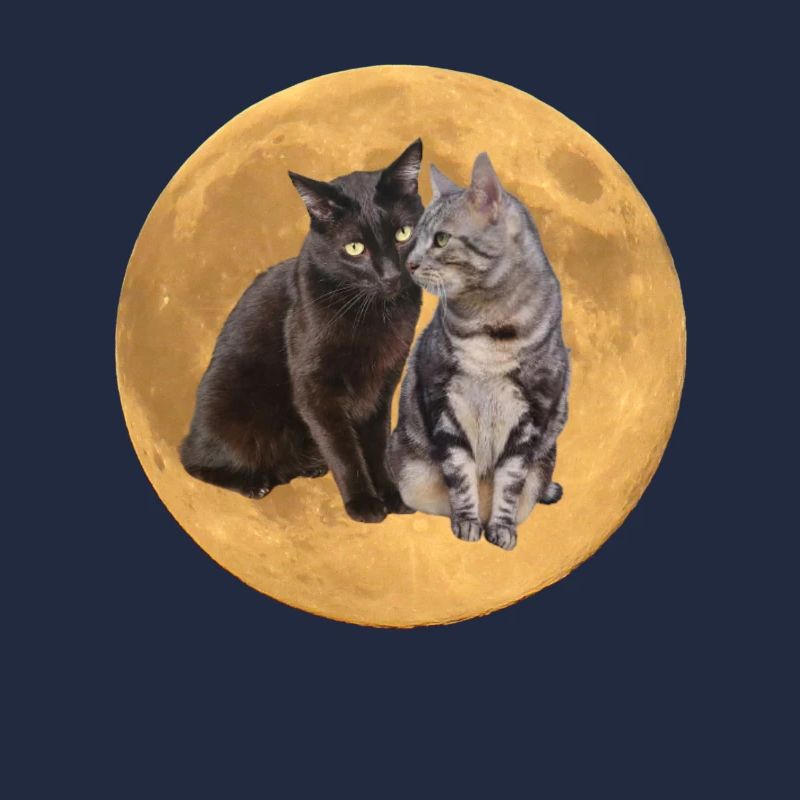 Die Brüder Hintergrund Planet 2