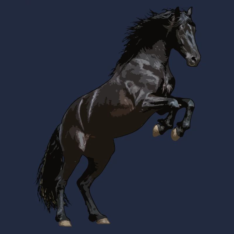 Cheval frison cabré