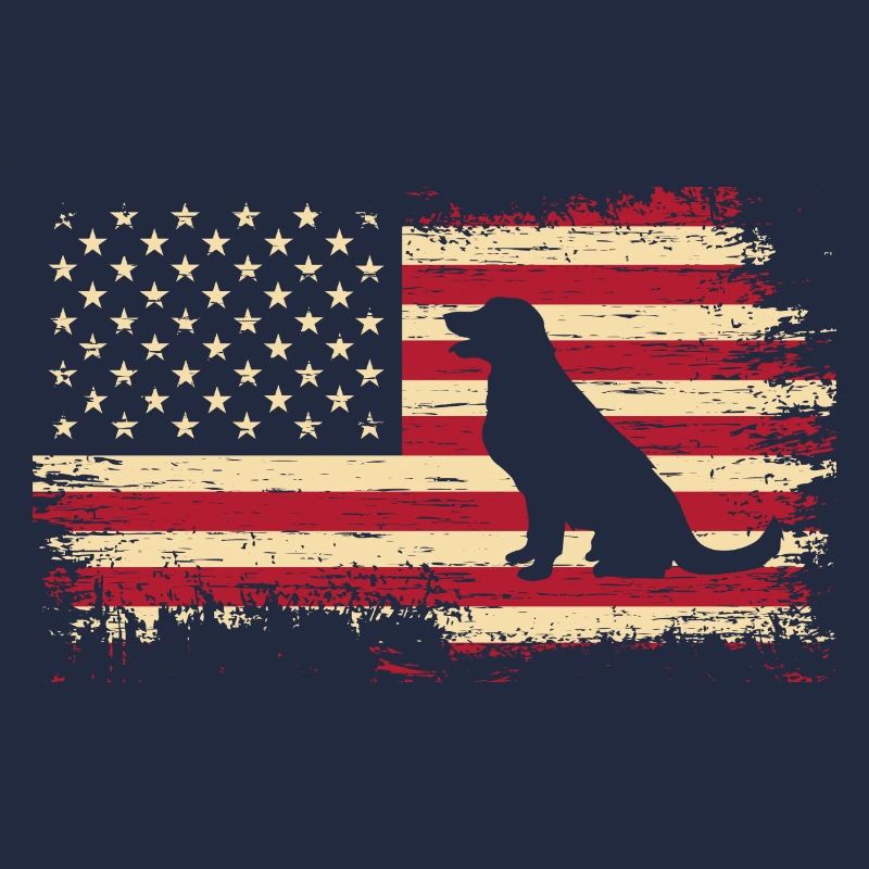 Labrador États-Unis