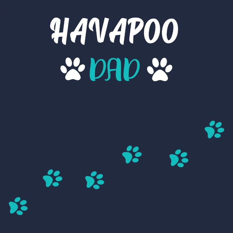 Havapoo Dad I Havaneser Pudel Mix
