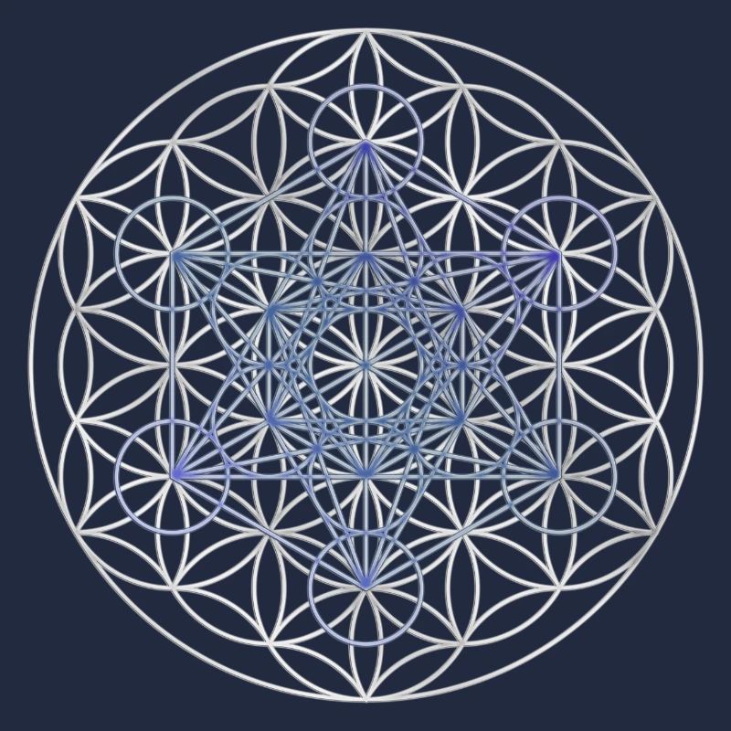 Le cube de Metatron - Fleur de la vie