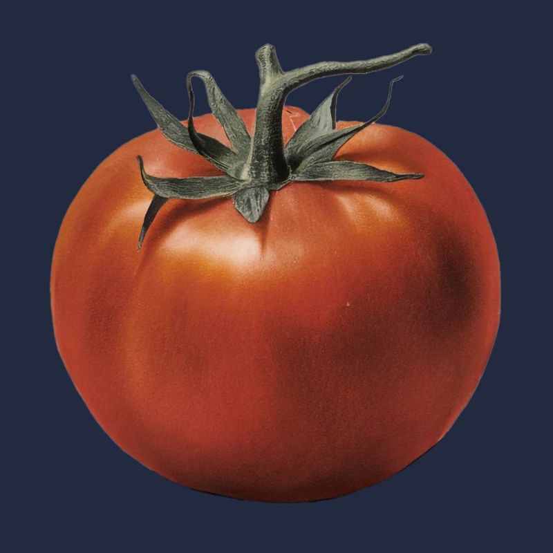 Rote Tomate