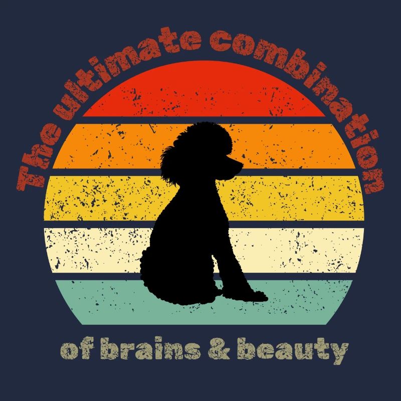 Caniche rétro