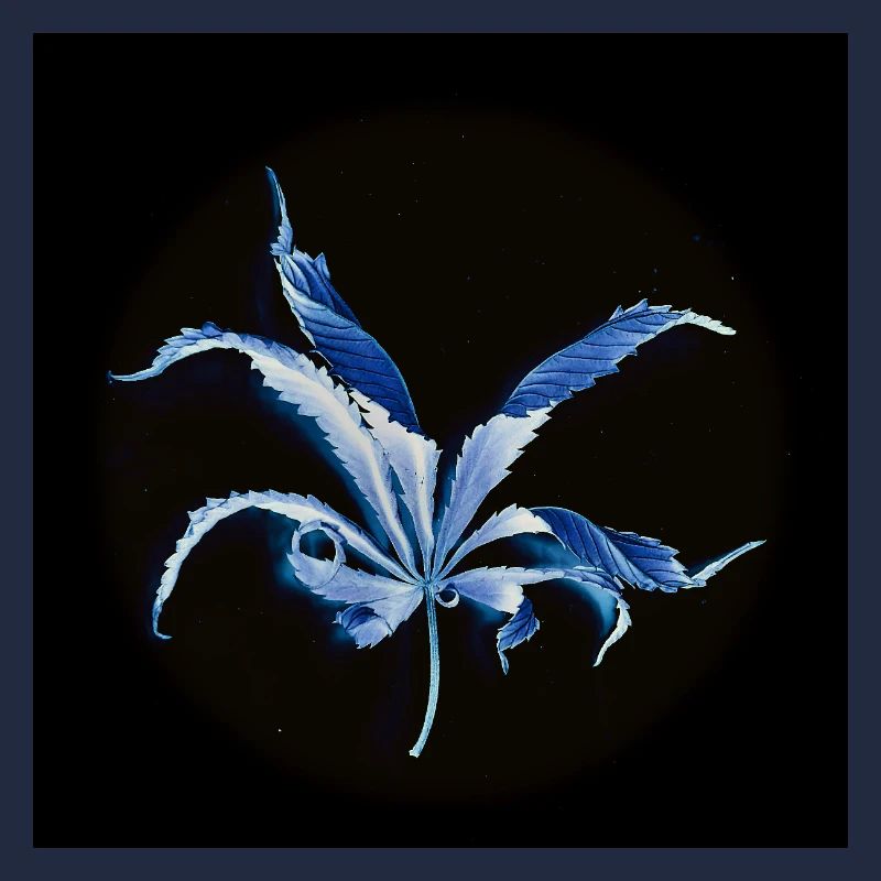 Curled leaf, inverted