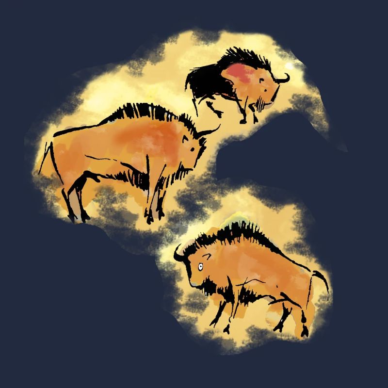 Bison