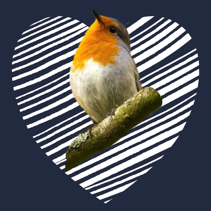 Rotkehlchen Singvogel