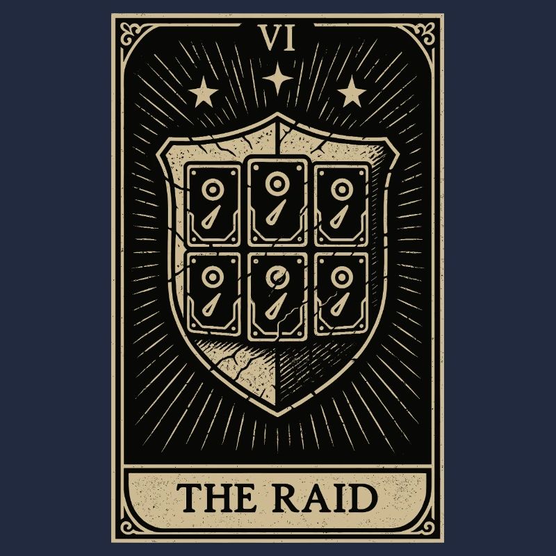 Tarot Datahoarding: Der RAID-Schutz