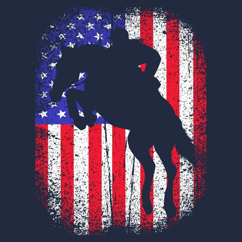 Springreiten Springpferd