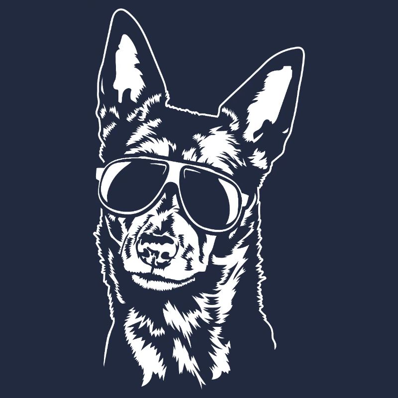 Australian Kelpie cool Hunde Portrait Wilsigns
