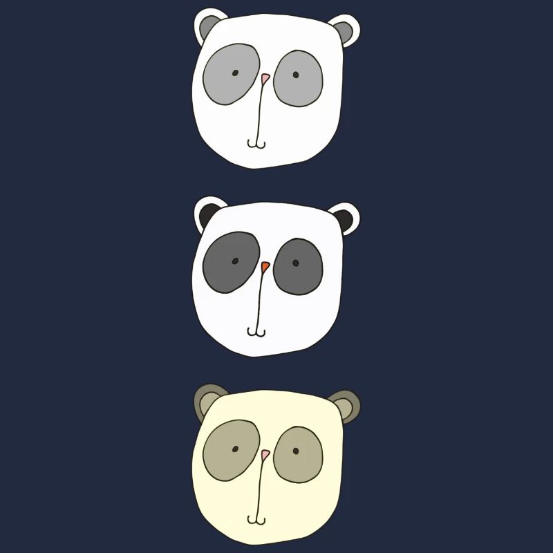 koala brüder