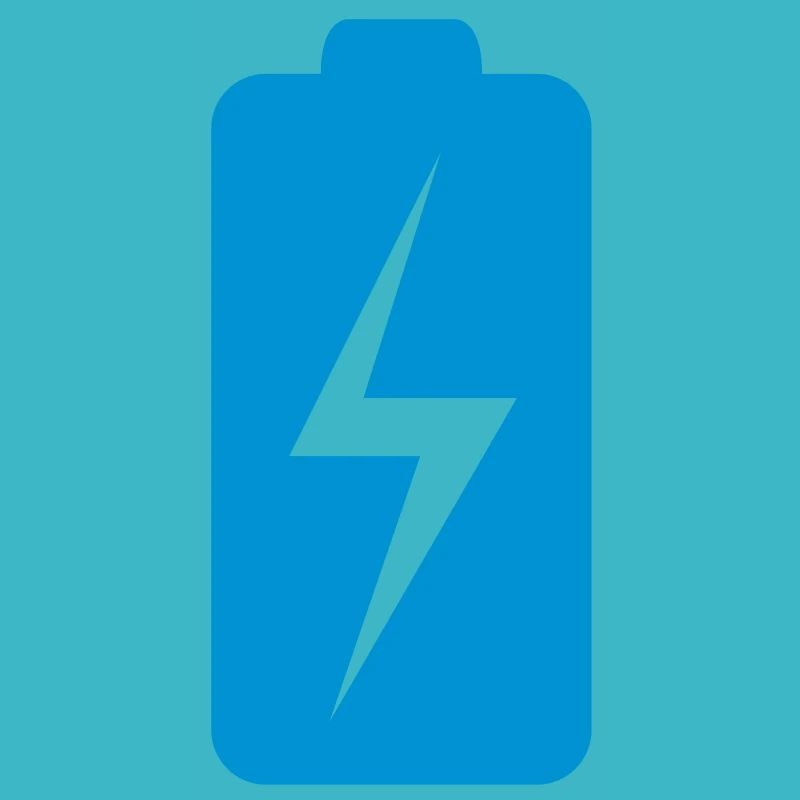 Battery charging status