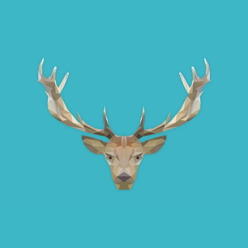 LowPoly "Deer"