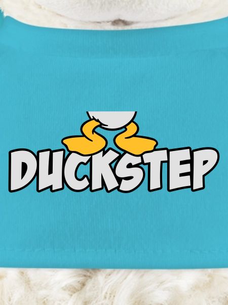 Duckstep (Dubstep)