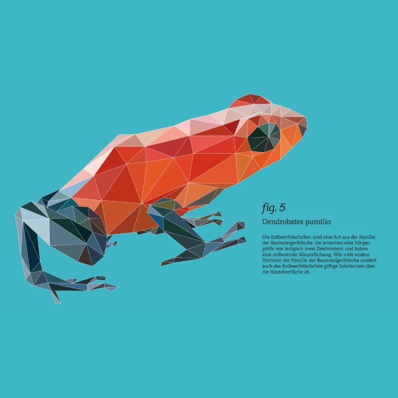 fig5_polygonpfeilgiftfrosch
