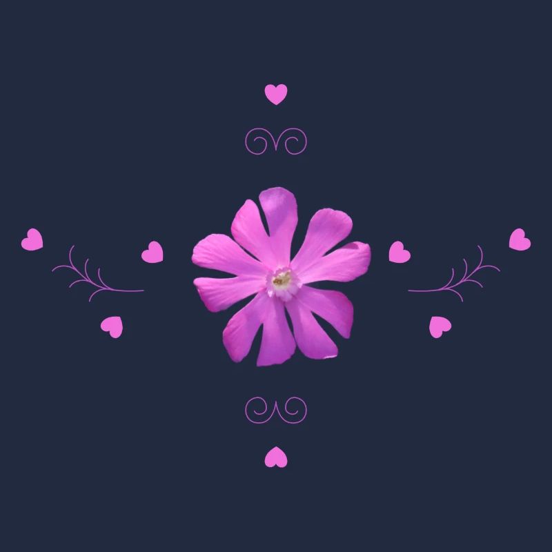 Oeillet Fleur Rose