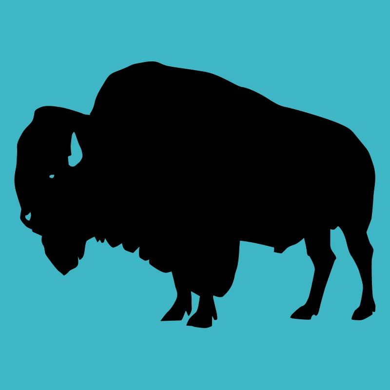 Bison