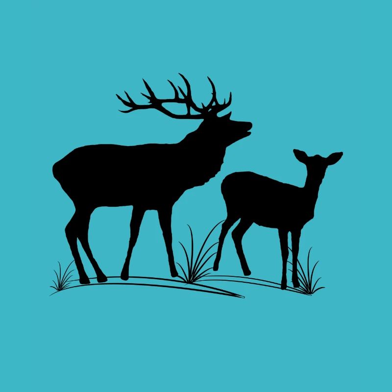 Deer, roe deer, fallow deer, forest, animals, deer